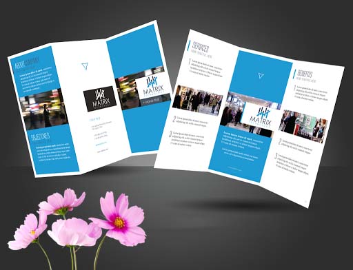 portfolio 6 image